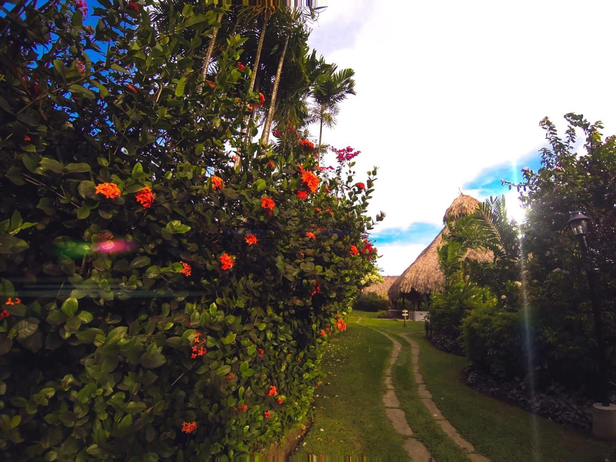Kariwak Village Holistic Haven Crown Point Εξωτερικό φωτογραφία